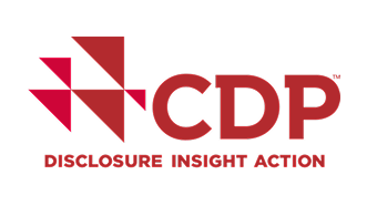 CDP - Disclosure insight action
