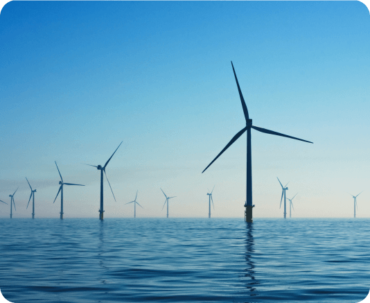 Alliances for Climate Action