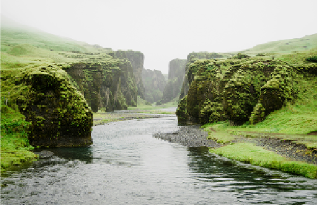 Alliances for Climate Actions