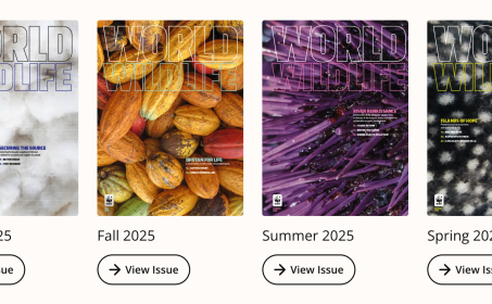 World Wildlife magazine