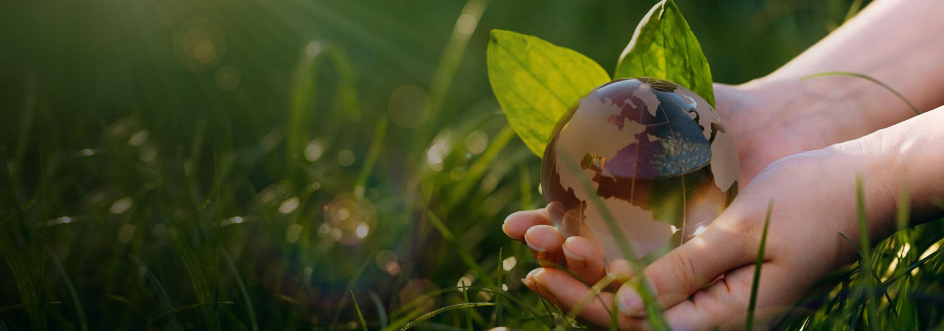 Alliances for Climate Action