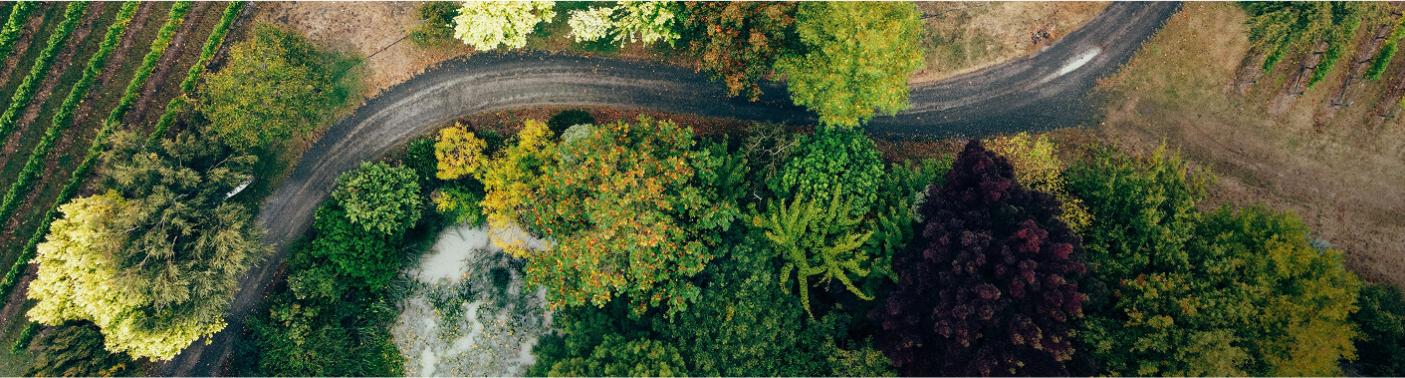 Alliances for Climate Actions