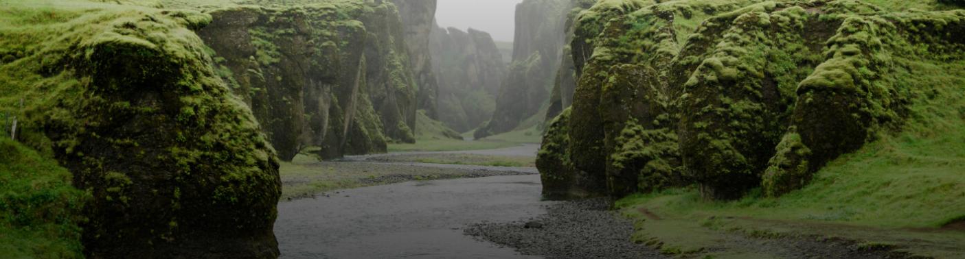 Alliances for Climate Actions