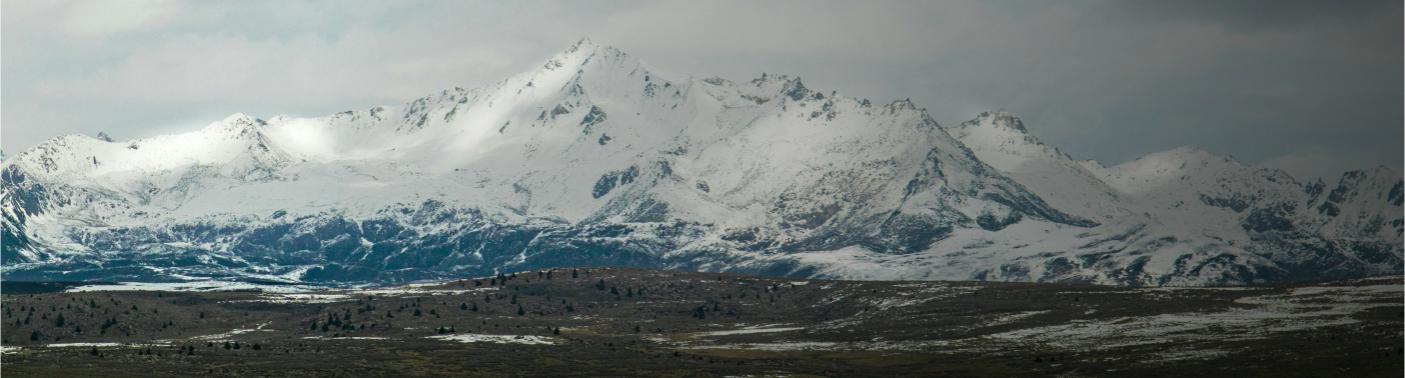 Alliances for Climate Actions