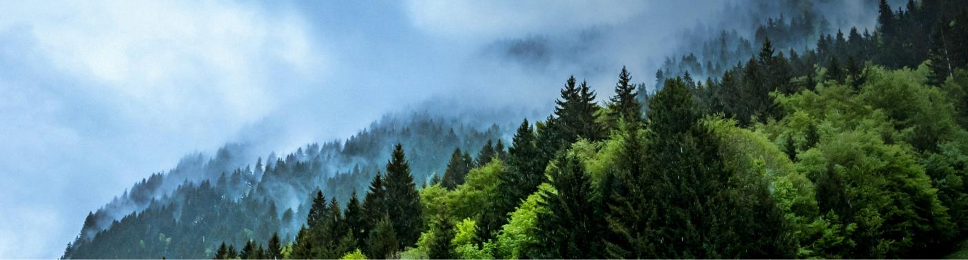 Alliances for Climate Actions