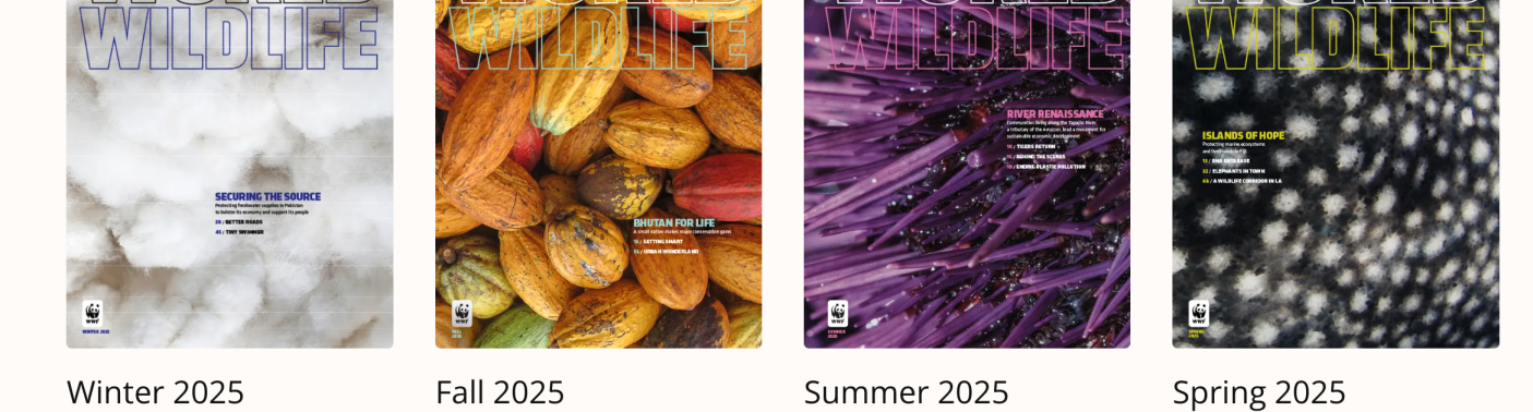 World Wildlife magazine