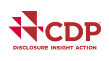 CDP - Disclosure insight action